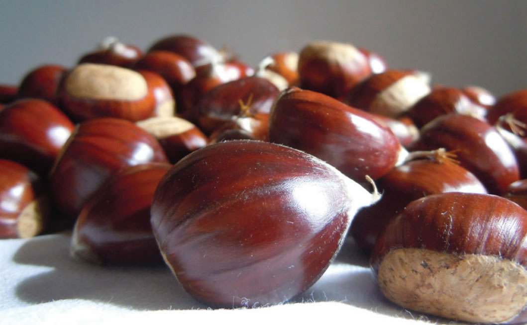Castañas