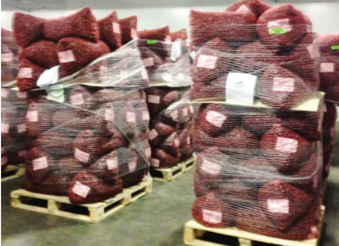 Castañas